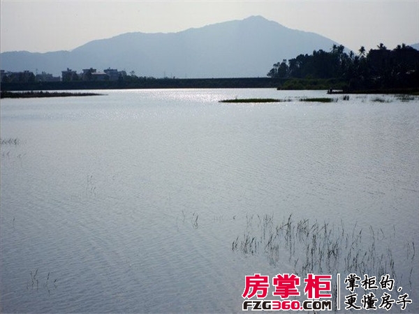 实景图