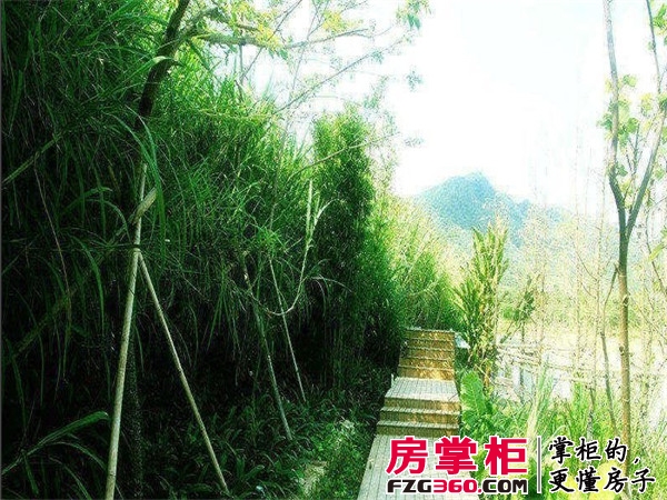 实景图
