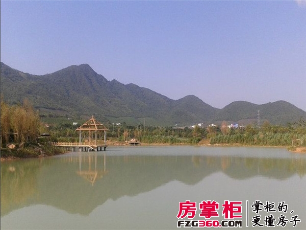 实景图