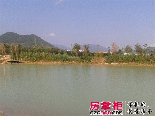 实景图