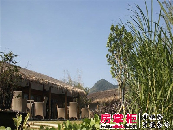 实景图