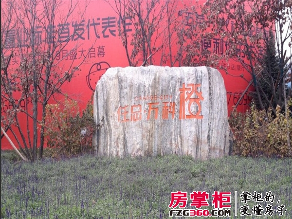 实景图