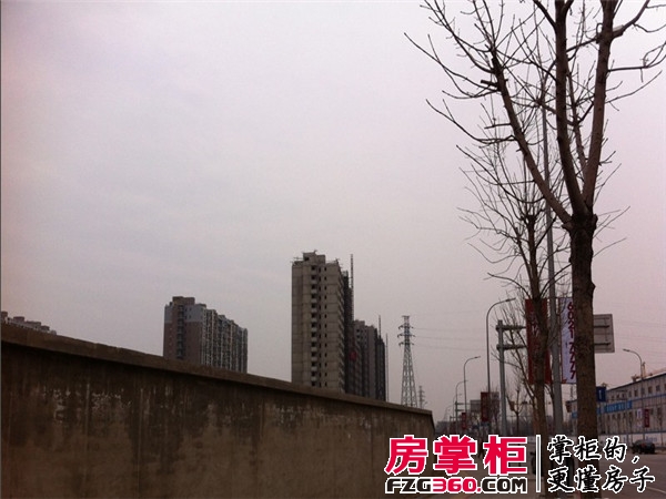实景图