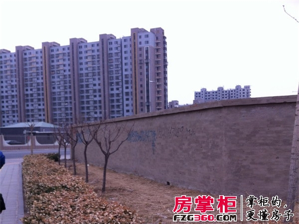 实景图