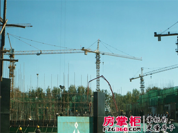 实景图