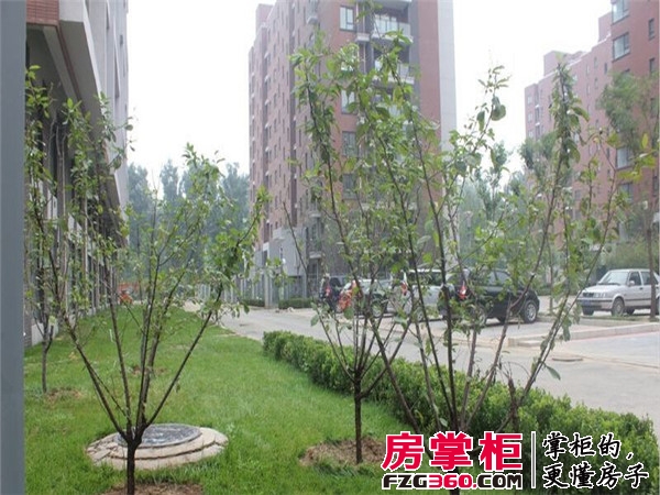 实景图