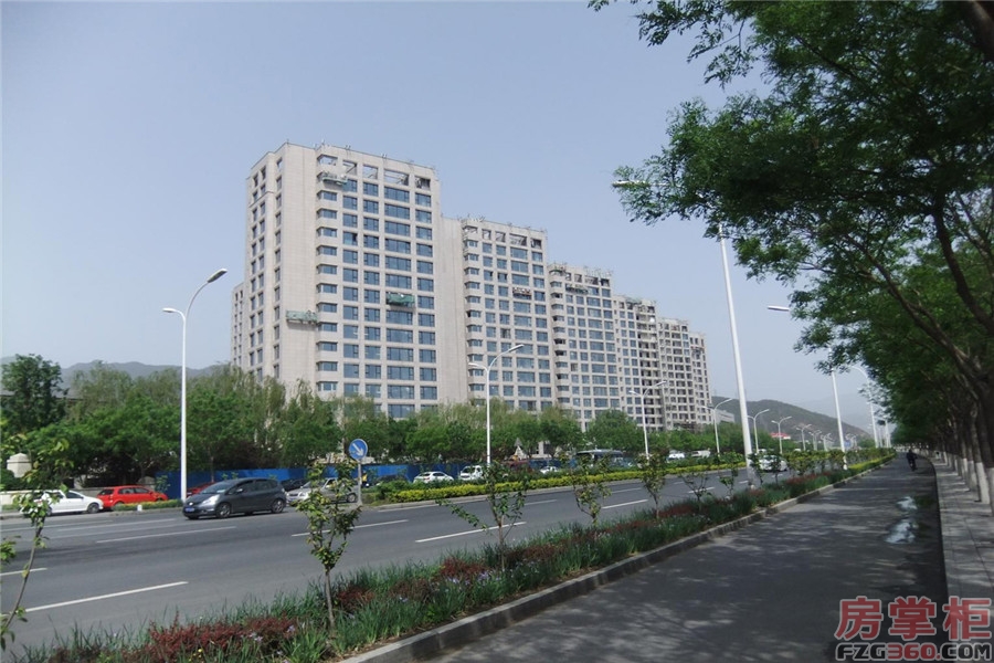 实景图