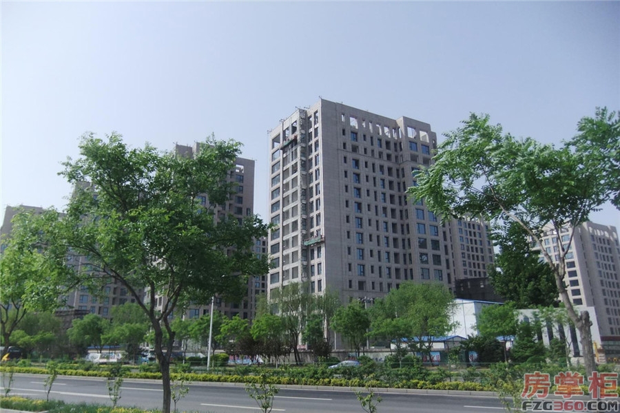 实景图
